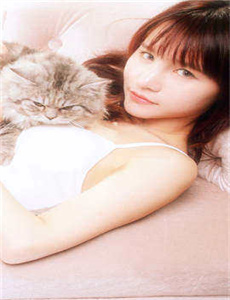 葫芦兄弟动画片全集高清版-张燕被两个局长全肉共妻